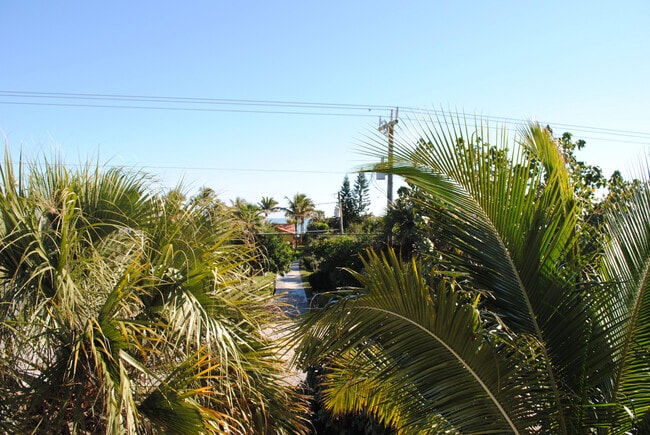 Building Photo - 120 Ibis Dr