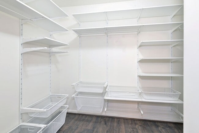 Building Photo - Spacious Home on Wooded Lot!