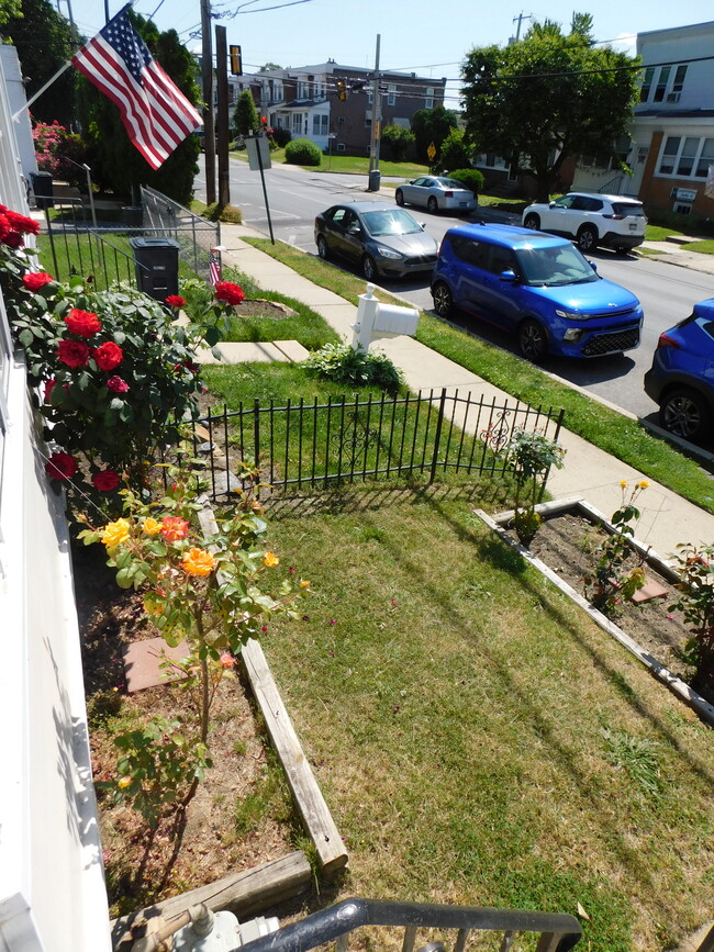 Front Yard Roses - 1190 E 9th St