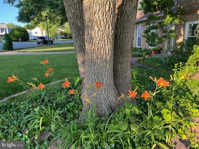 Building Photo - 12701 Pinecrest Rd