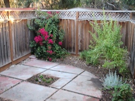 Fenced yard - 316 Chester St