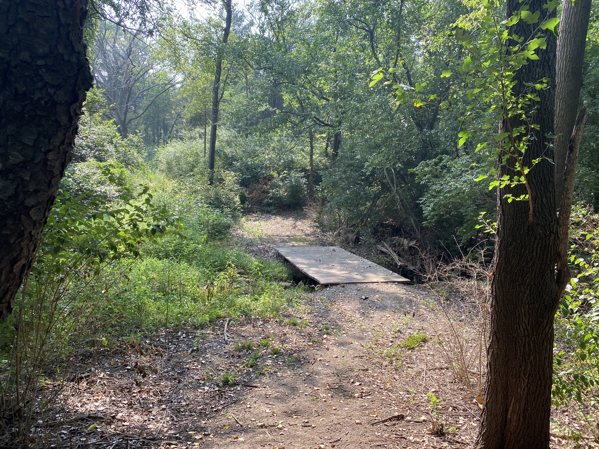 Nearby Clarion Woods Park and nature trail - 3755 SW Summerfield Dr