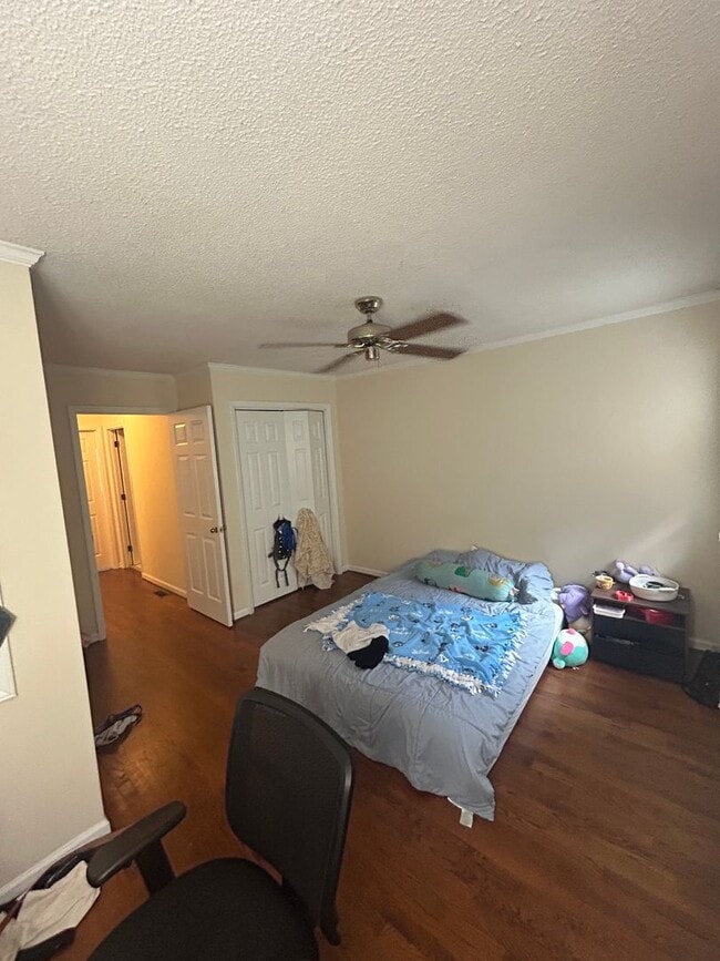 Building Photo - Chapel Hill /Hillsborough St Townhouse