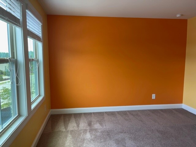 Building Photo - 234 Alamosa Pl