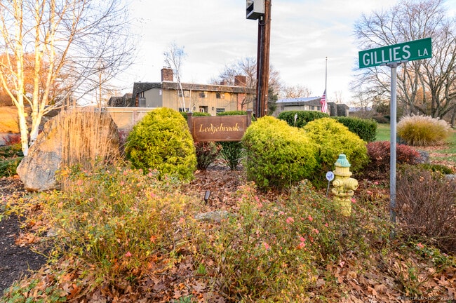 Building Photo - 206 Gillies Ln