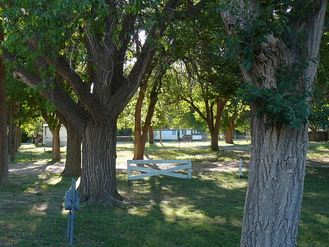 Building Photo - 4611 Dumas Dr