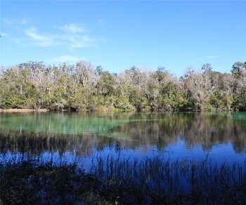 Building Photo - 9852 SW 196th Avenue Rd