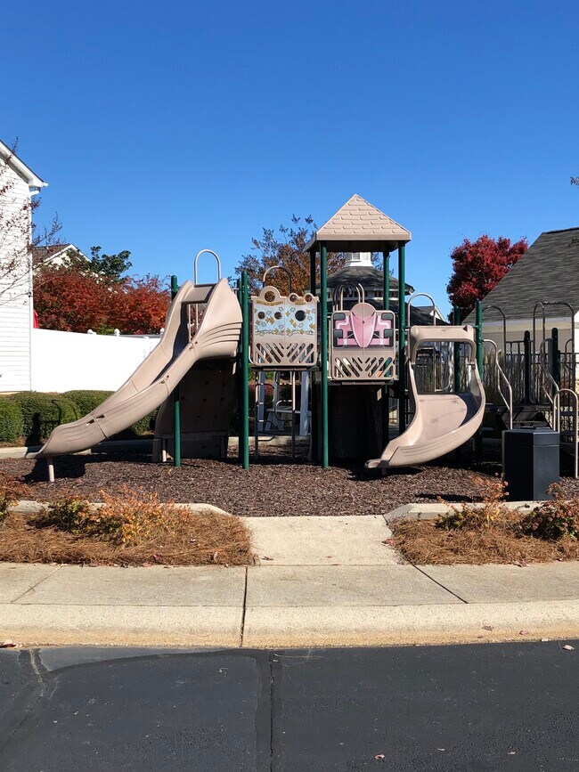 Community Playground - 5029 Prosperity Ridge Rd