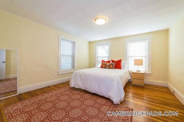 Building Photo - 199 Mt Auburn St