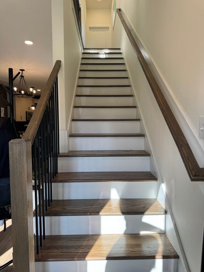 Building Photo - Tastefully Built Modern Durham Home
