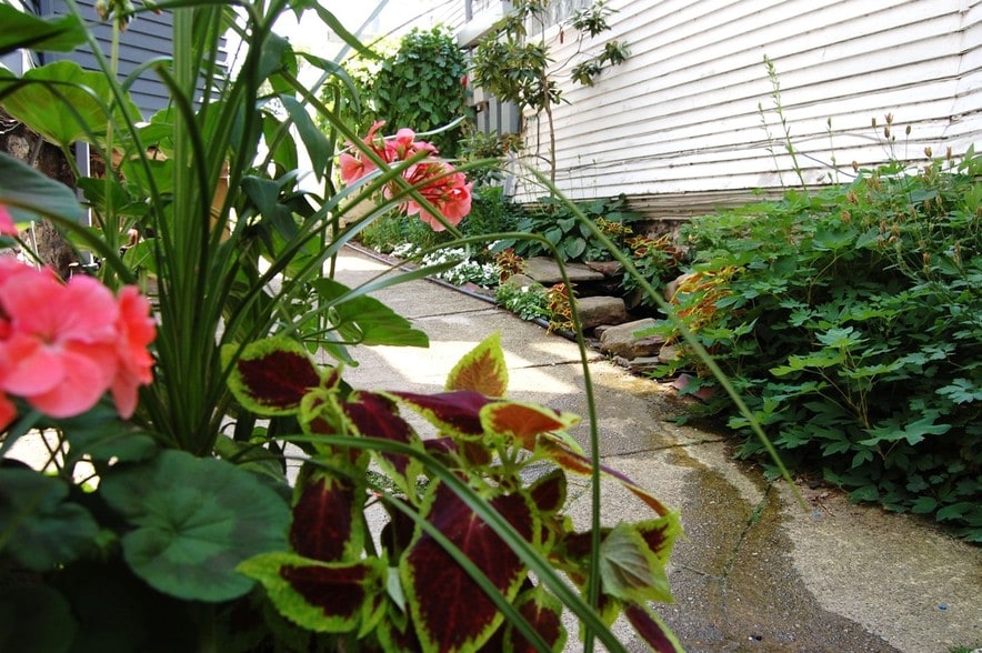 Private courtyard garden with water feature. - 485 Elmwood Ave