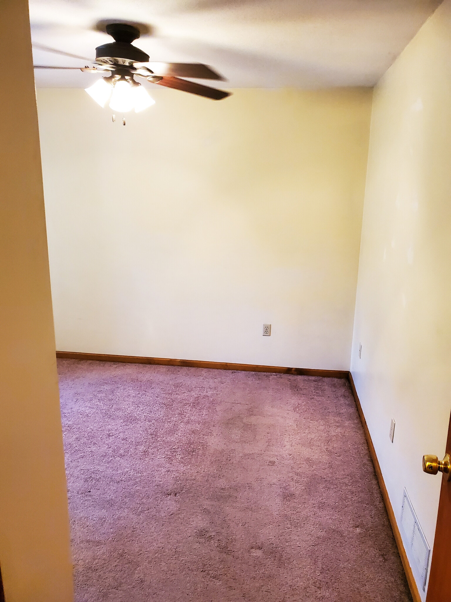 LARGE HALLWAY - 27 Richmond St