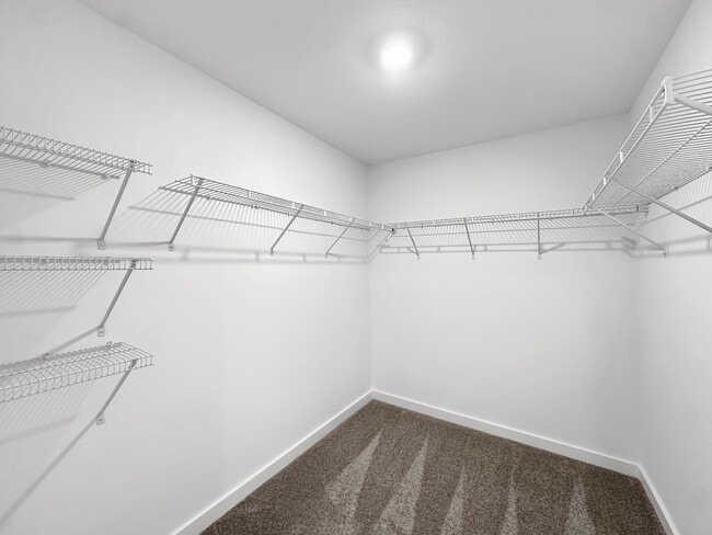 Building Photo - Welcome home to the Cabral at Belhaven in Corryton!