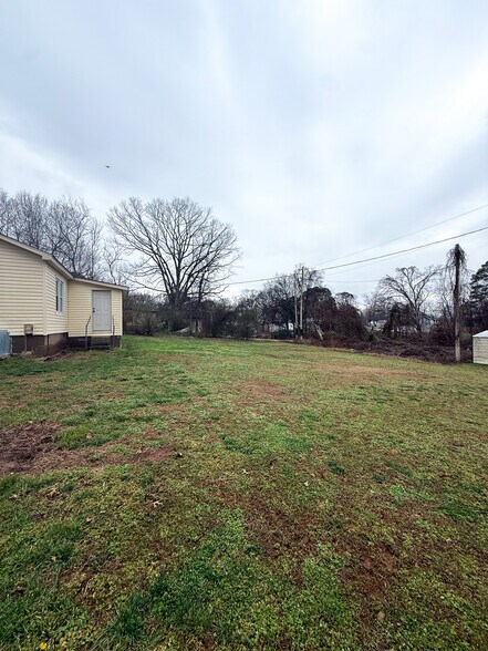 Back Yard - 517 Woodward Ave