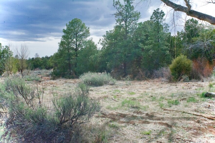 Building Photo - 39 Burro Bend
