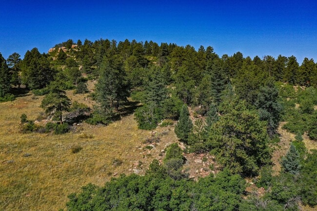 Building Photo - Backcountry Living