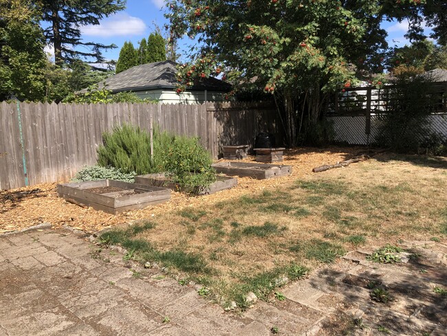 backyard with raised beds - 3218 SE 59th Avenue