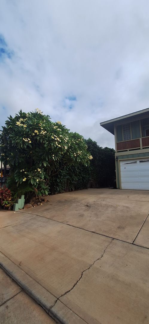 Building Photo - Honu Alahele 1 Bed 1 Bath