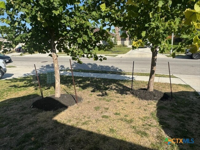 Building Photo - 908 Adler Way