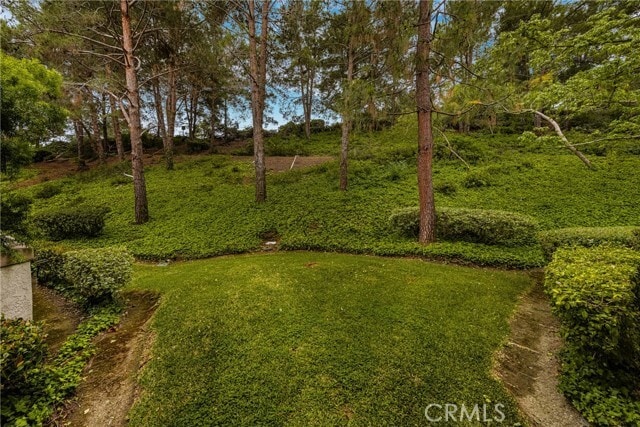 Building Photo - 61 Montara Dr