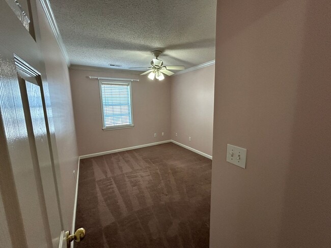 Building Photo - 273 Ivy Pl