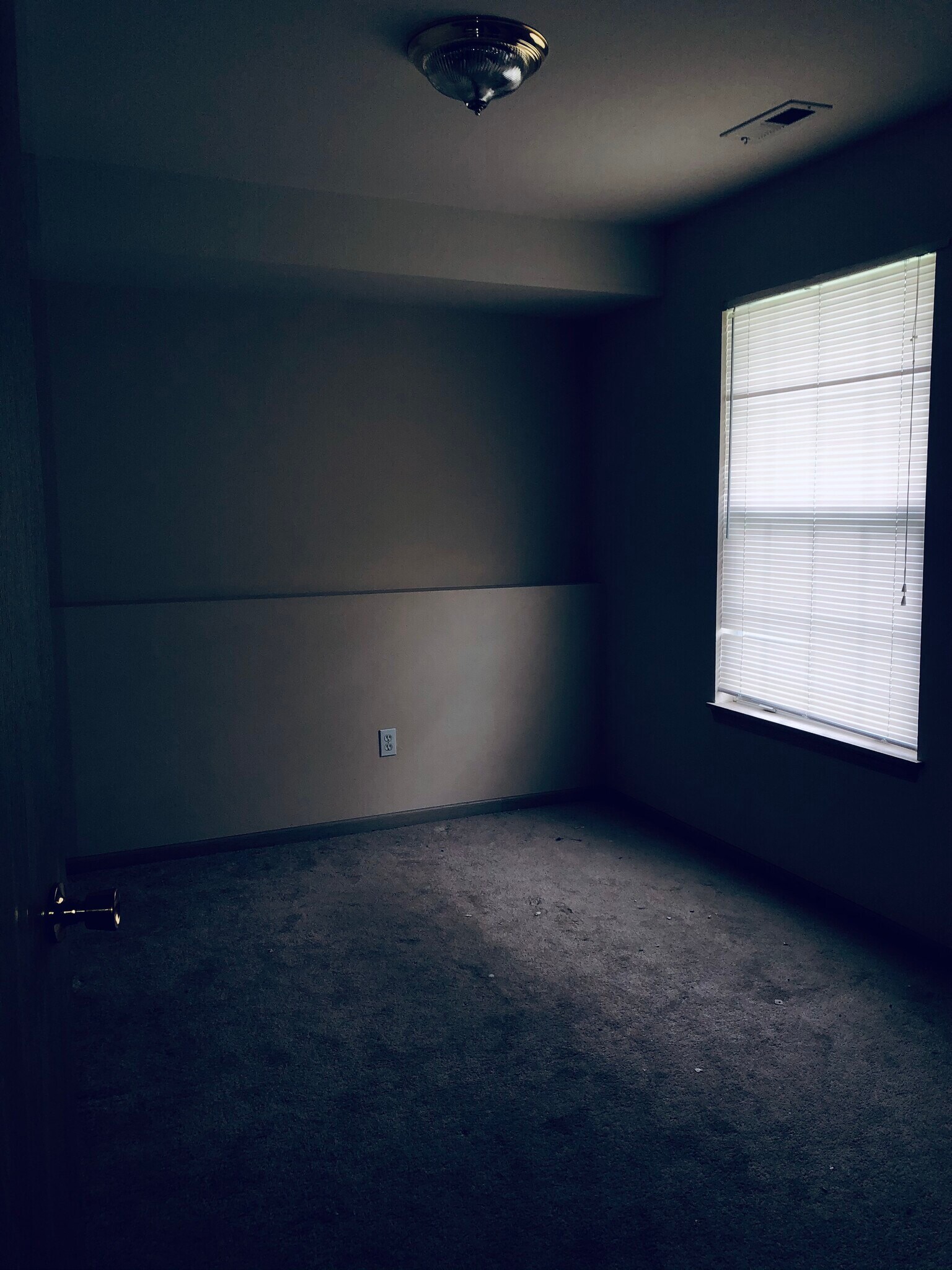 Downstairs bedroom - 1416 SE Henley Ct