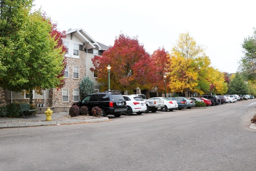 Mature trees - Campus West Lofts on City Park