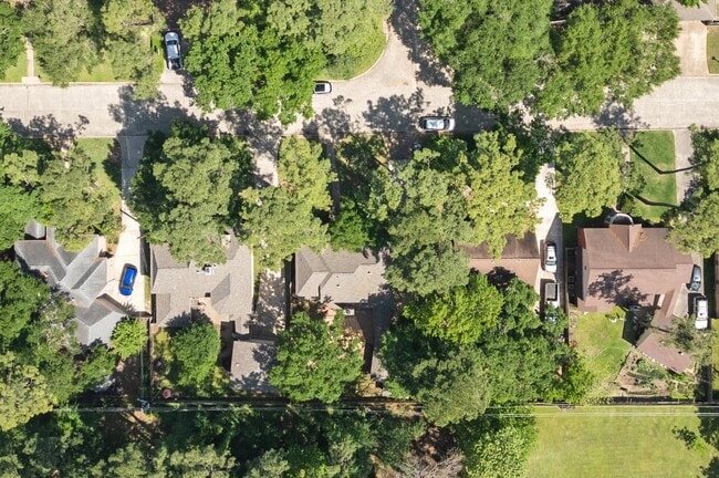Building Photo - 12119 Auburn Hills Dr