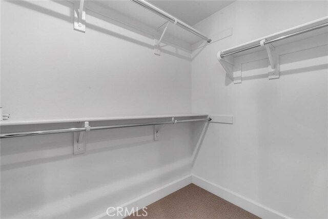 Building Photo - 1035 Calle Stellare