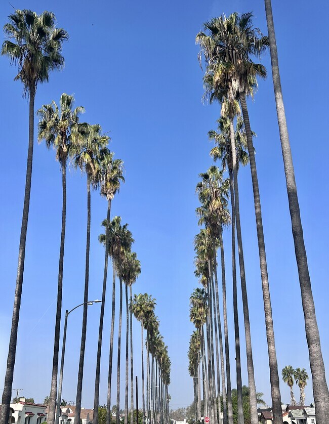 Building Photo - 4628 6th Ave