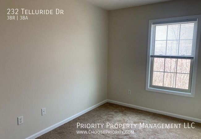 Building Photo - 232 Telluride Drive