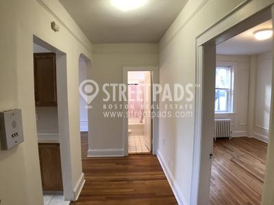 Building Photo - 1 bedroom in Boston MA 02135