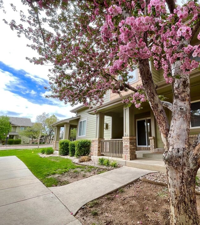 Building Photo - Townhome -2 bed 2.5 bath + bonus area