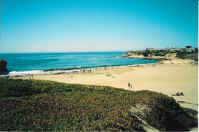 Building Photo - Stunning Tree-House Living with Beach Acce...