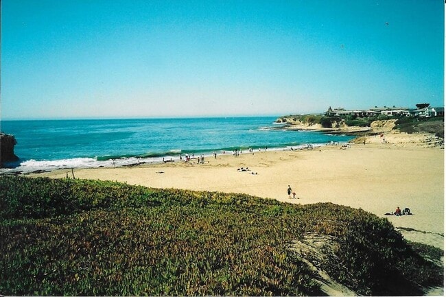 Building Photo - Stunning Tree-House Living with Beach Access - Hidden Beach Area