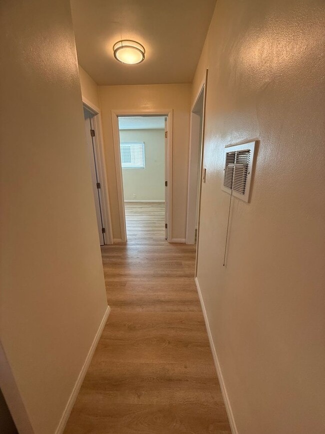 Building Photo - 227-233 Wolff Street