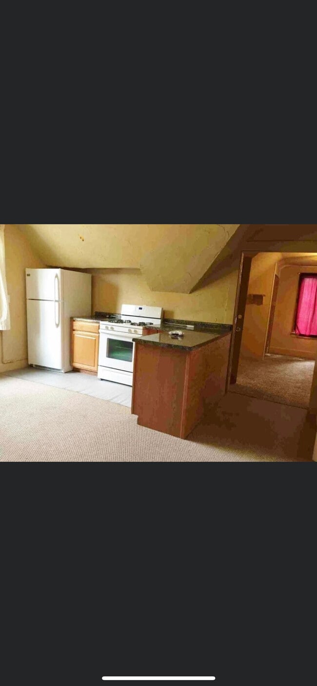 Kitchen Pic 1 - 891 Geranium Ave E