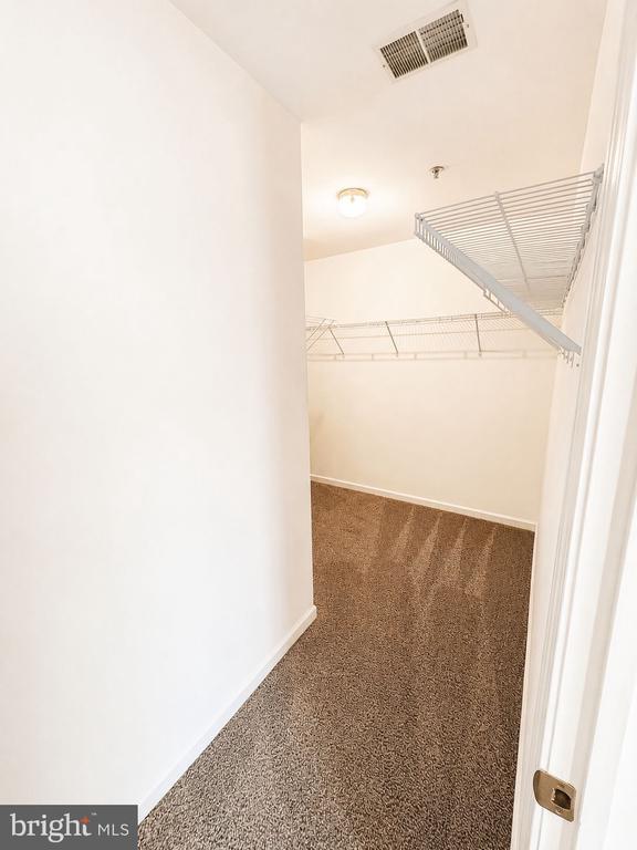 Building Photo - 109 Canvasback Way