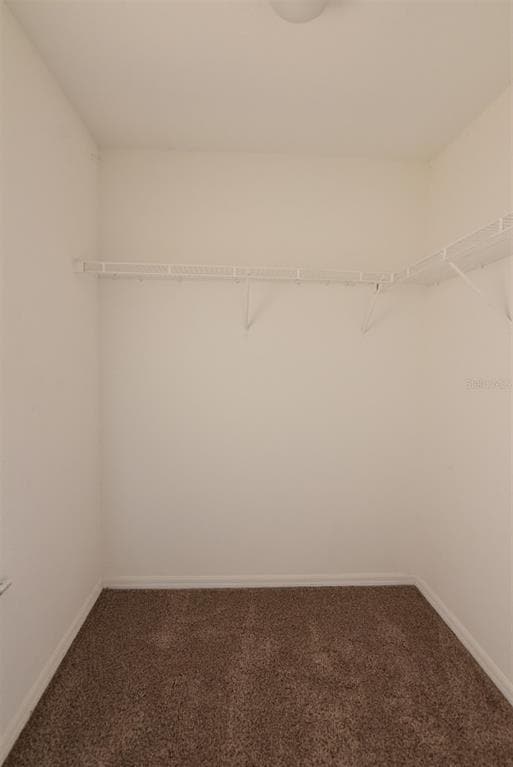 Building Photo - 1066 Dolphin Dr