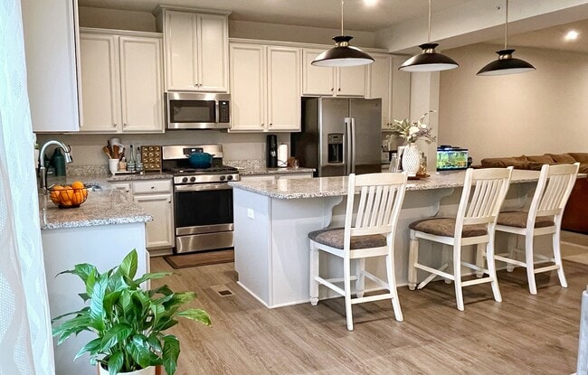 Gourmet Kitchen - 3005 Lampl Ln