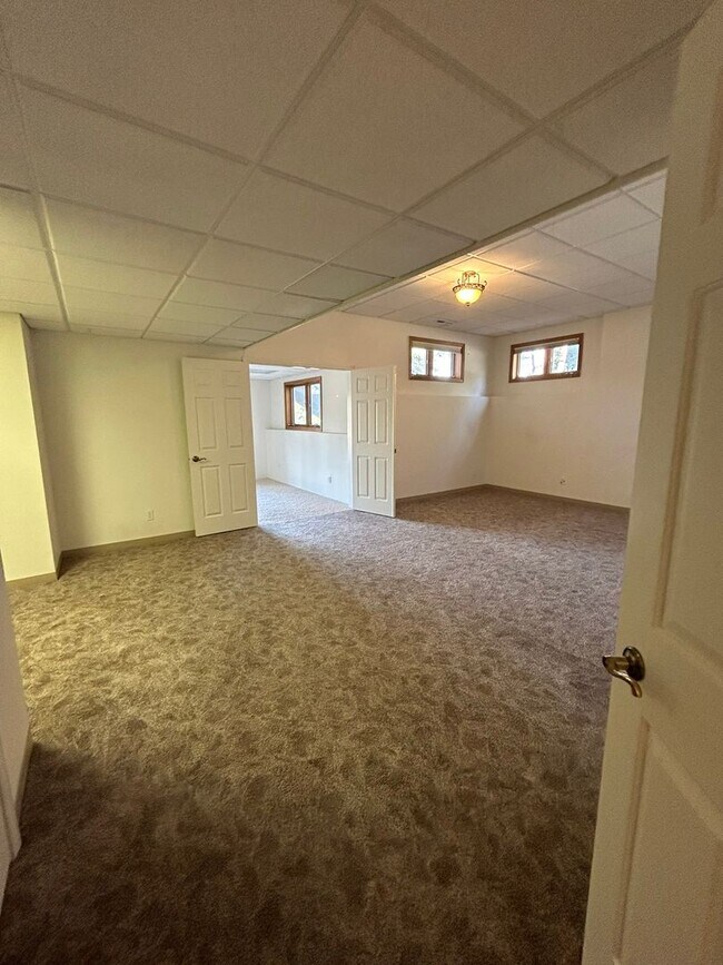 Building Photo - Spacious Daylight Apartment in Hamilton