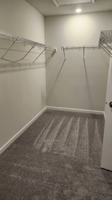 Building Photo - 1520 Foal Run Trl