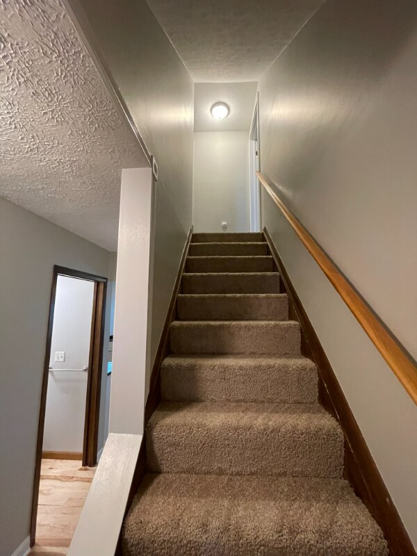 Building Photo - 3211 Creston Ct