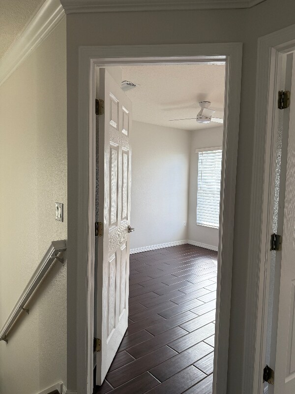 Building Photo - 11641 Declaration Dr