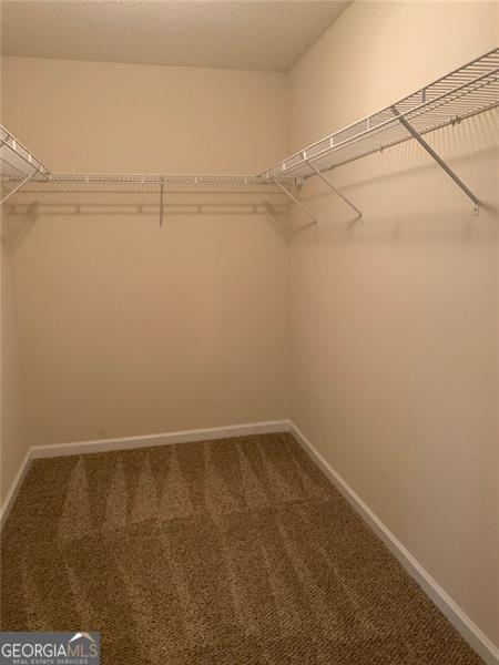 Building Photo - 3609 Silver Brooke Ln