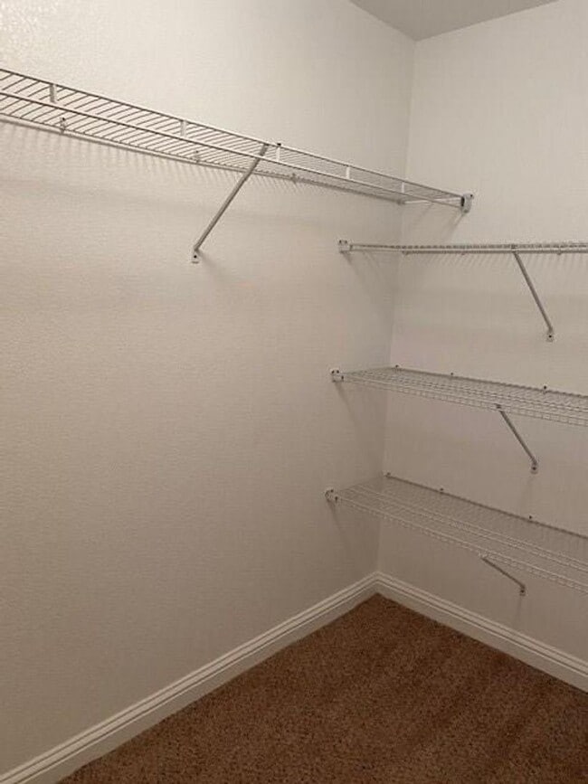 Building Photo - 3113 Weave Ct