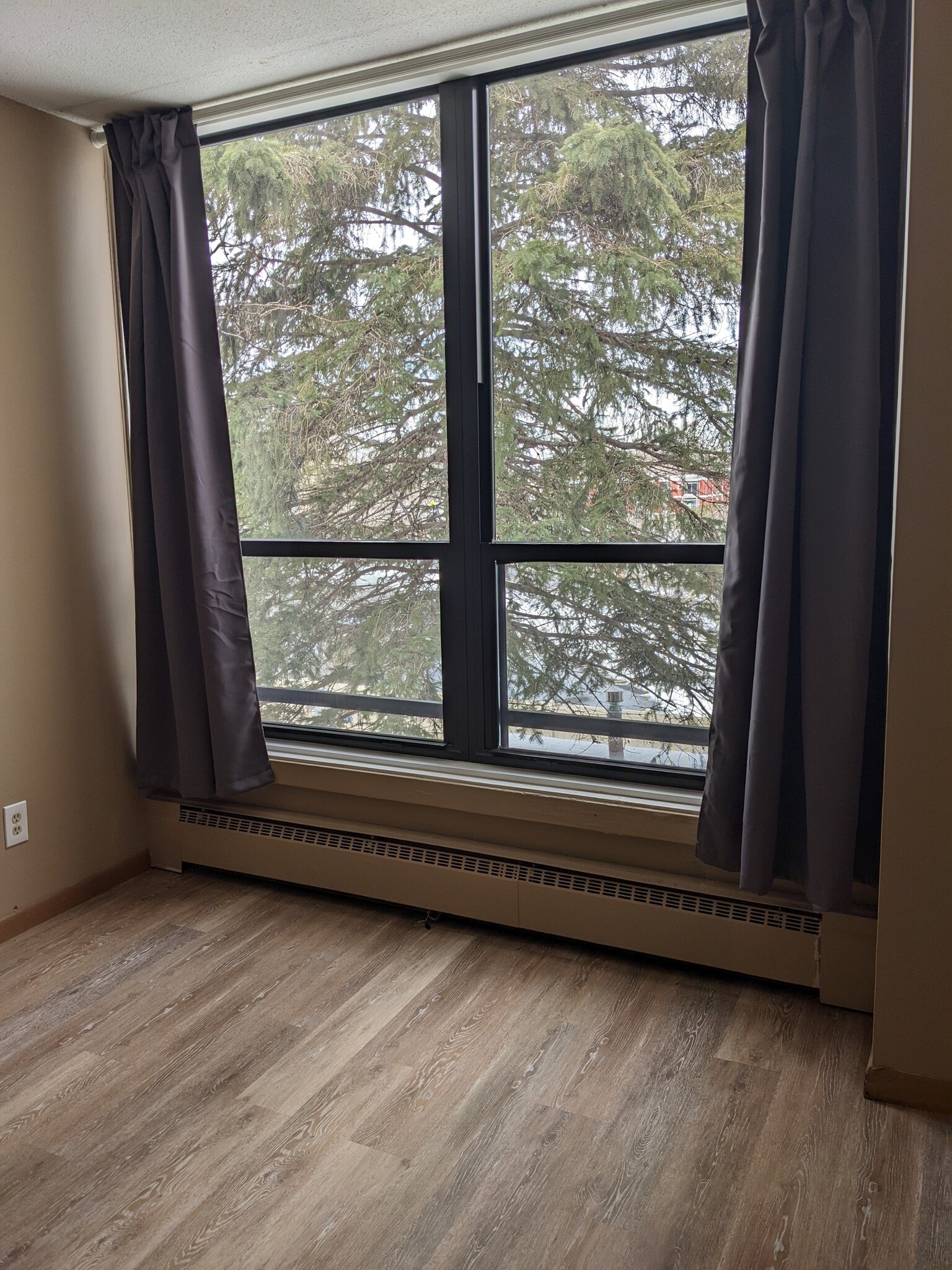 Building Photo - 4530 Park Commons Dr