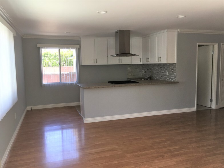Living/Kitchen - 546 Salem St
