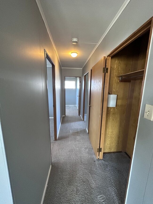 Building Photo - 3 Bedroom 1 Bath Home - Available February 2nd 2026