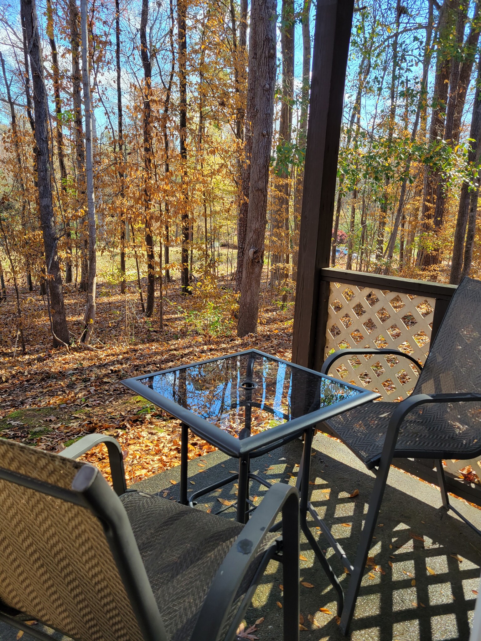 Bisto table and chairs overlooking woodsooking peaceful woods. Access through French doors in LR. - 435 Haltiwanger Rd